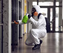 Best Commercial Mold Inspection in Washington, NJ